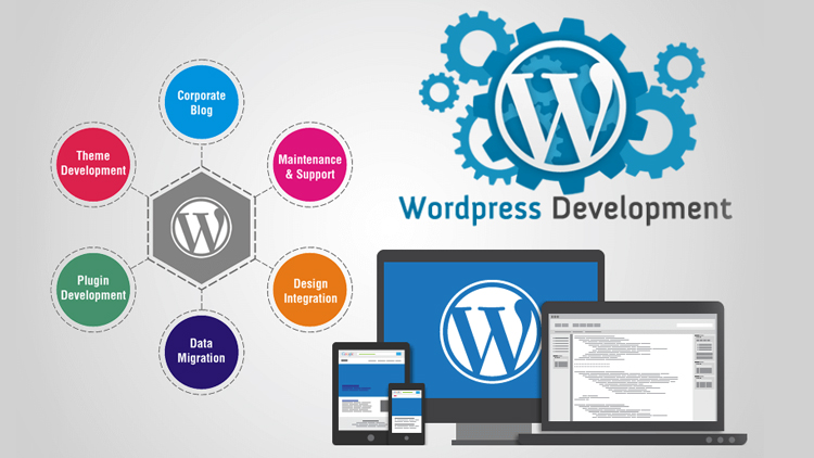 Advantages of Hiring a WordPress Developer for Your Website Project